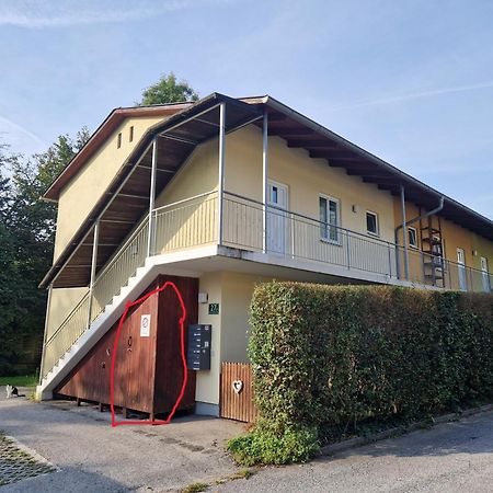 Апартаменти Erholung Pur Nahe Krankenhaus & Uni Mit Parkplatz! Грац Екстер'єр фото